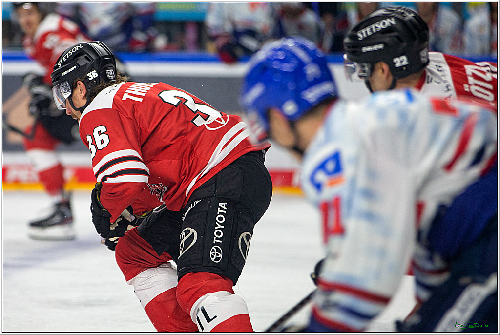 PENNY DEL; Koelner Haie- Adler Mannheim; Koeln, 04.11.2022